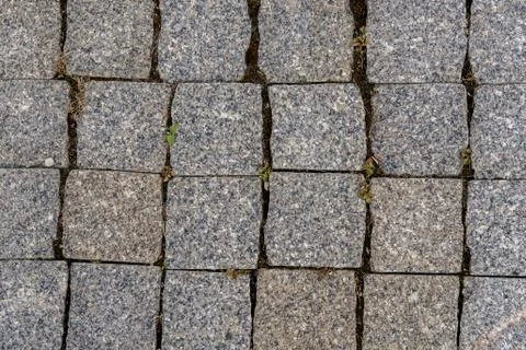 Square granite tile walkway. Stock Photos