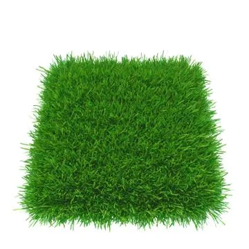 Square of green grass field over blue background Illustrazione stock