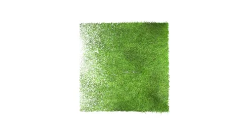 Square green grass label grow 3d animation Stock Footage 65765421
