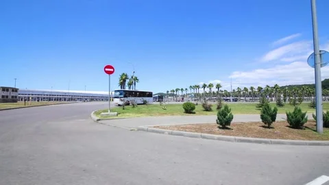 Square with green palm trees at sunny summer day, Sochi, Russia Stock Footage 276363305