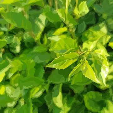 Square green summer dense vegetation background with young leaves Stock Illustration