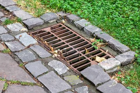 Square hatch rusty rainstorm grill dirty in leaves with garbage in the park. 写真素材