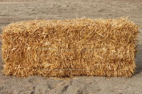 Square hay bale Foto stock