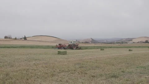 Square hay baler drops green hay bale on cut grass Vídeos de archivo 332255769