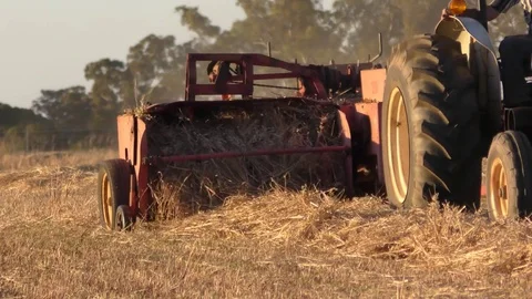 Square hay baler in padock Stock Footage 70717921