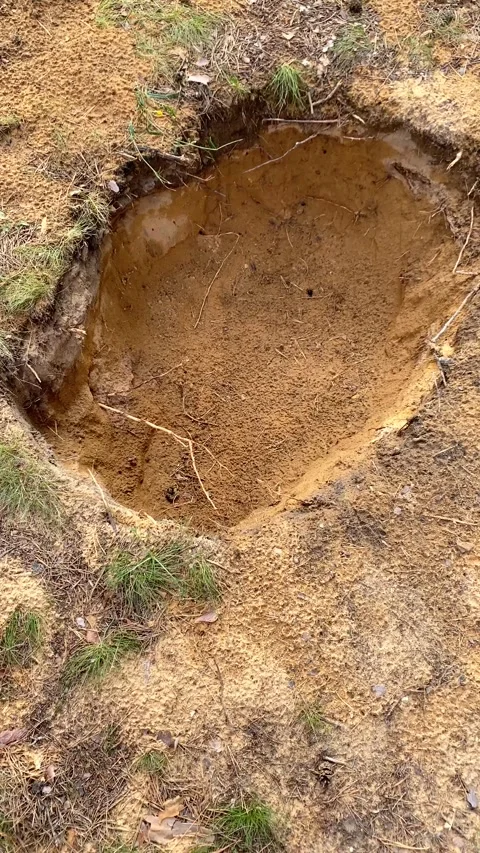 A square hole dug in the ground during the summer. Vertical video Stock Footage 284003269