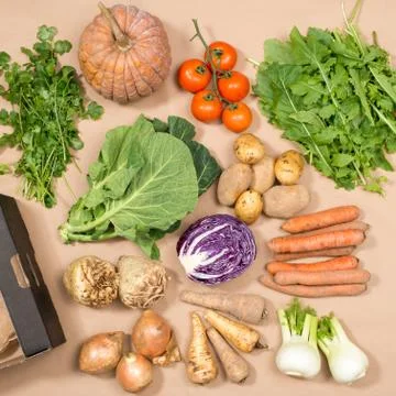 Square Image of Collection of Fresh Vegetables and a Box Stock Photos