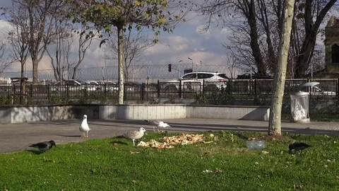 Square in Istanbul Stock Footage 70584448