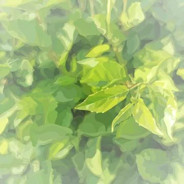 Square light green summer background with dense vegetation and young leaves Stock Illustration