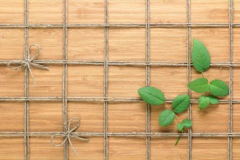 Square lined rope pattern on a wooden background and white rose with leaves Stock Photos