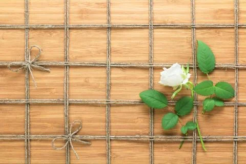 Square lined rope pattern on a wooden background and white rose with leaves Stock Photos