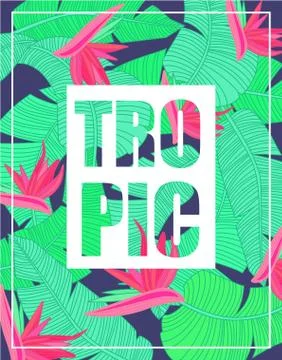 Square Logo With Text On Tropical Pattern Background Stock Illustration