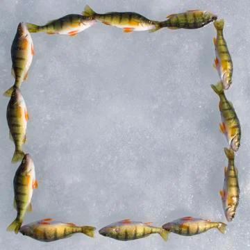 Square made of perches Stock Photos