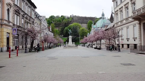Square in Miskolc with blooming sakura trees Vídeos de archivo 112625199