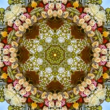 Square Muted toned down white red and yellow flowers in circular arrangement at 写真素材