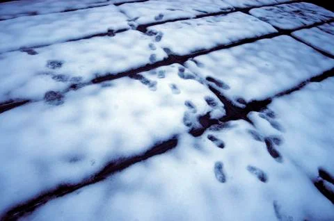 Square or rectangular shaped object Stock Photos