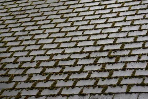 Square or rectangular shaped object 스톡 사진