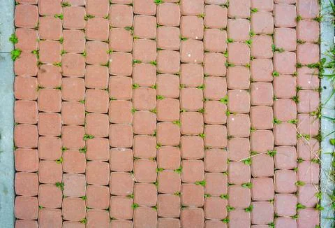 Square orange plaster tiles with bit grass in mortars. City street pavement Stock Photos