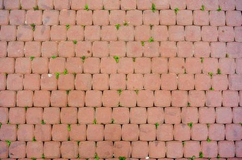 Square orange plaster tiles with bit grass in mortars. City street pavement Stock Photos