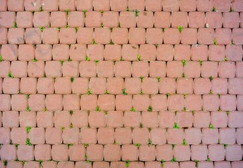 Square orange plaster tiles with bit grass in mortars. City street pavement Stock Photos