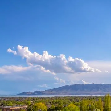 Square Panoramic view of rooftops and lush trees under blue sky with puffy Stock Photos