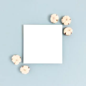 Square paper card mockup with frame of made cotton on a blue pastel backgroun Stock Photos