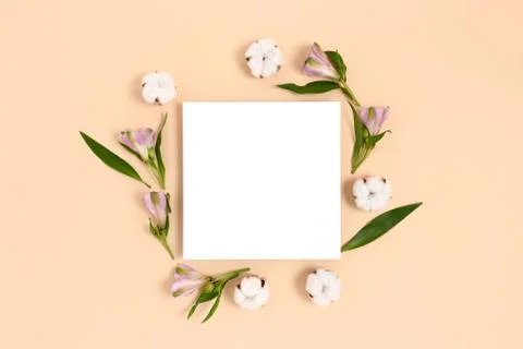 Square paper card mockup with frame made of cotton, alstroemeria flowers. Stock Photos