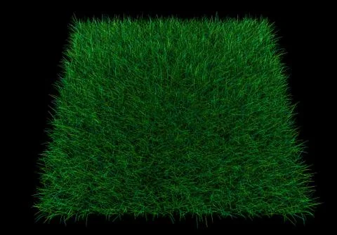 Square patch of grass Stock Photos