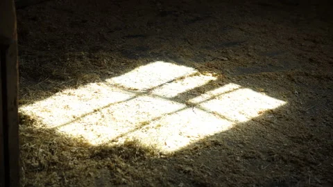 Square patch of sunlight shining through a window onto a barn or stable floor Stock Footage 321040769