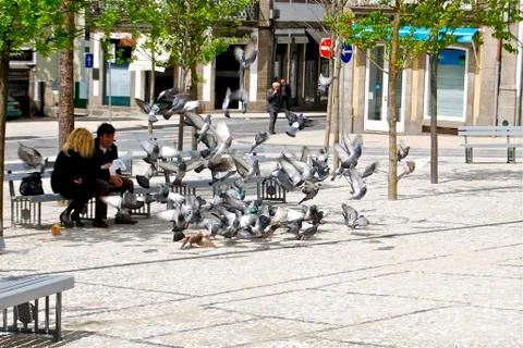 The square Stock Photos