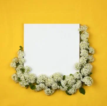Square photo with a notepad on a yellow background for notes. Stockfoto's