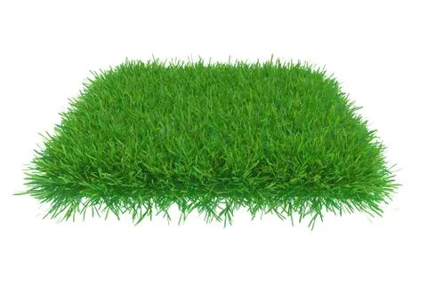 Square piece of cropped grass to be installed Stock-Illustration