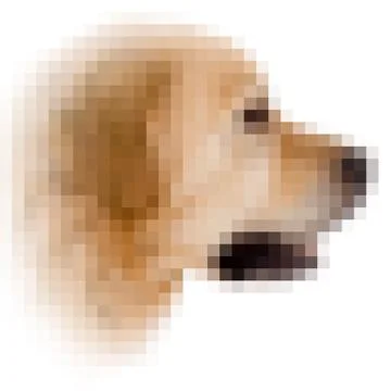 Square pixel image of a dog with vignette Stock Illustration