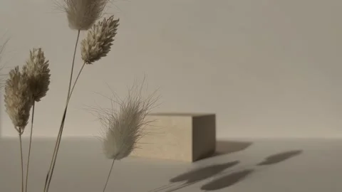 Square Podium on beige background Stock Footage 232425008