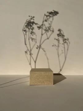 Square Podium on beige background. Stock Photos
