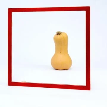 Square red frame set against a white background A pumpkin stands in the frame 写真素材