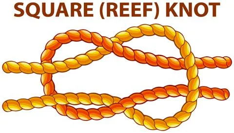 Square reef knot isolated on white. Household binding and fastening unit for Illustrazione stock