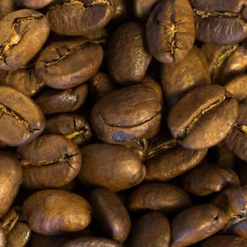 Square Roasted Whole Bean Coffee 스톡 사진