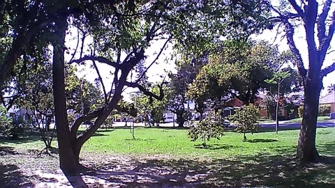 A square with several trees on a sunny day 스톡 동영상 220309494