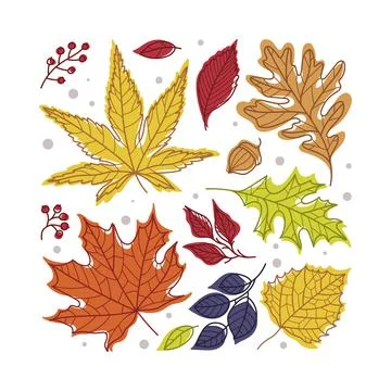 Square Shape with Bright Autumn Foliage of Different Leaf Color Vector イラスト素材
