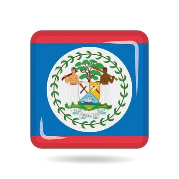 Square shape icon of the national flag of Belize Vector illustration Stock Illustration