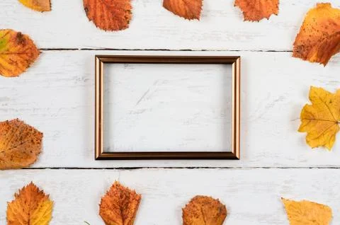 Square shape   from  rusty leaves   with   blank  photo  frame  on white timber Stock Photos
