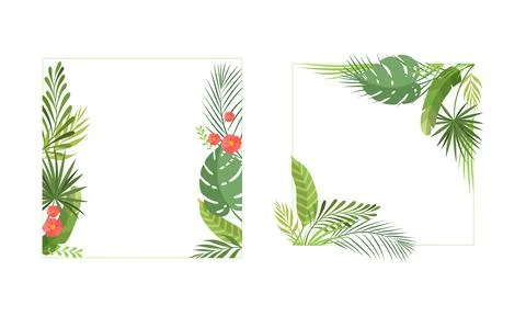 Square Shaped Frame with Green Tropical Leaves and Jungle Foliage Vector Set Stock Illustration