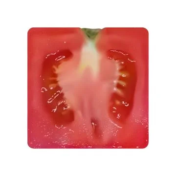 Square-shaped tomato on white background Stock Illustration