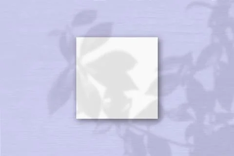 The square sheet of white textured paper on the lilac wall background. Mockup Stock Illustration