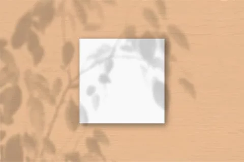 The square sheet of white textured paper on the peach wall background. Mockup Stock Illustration