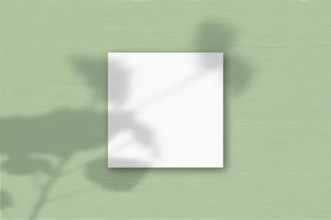 The square sheet of white textured paper on the green wall background. Mockup Stock Illustration