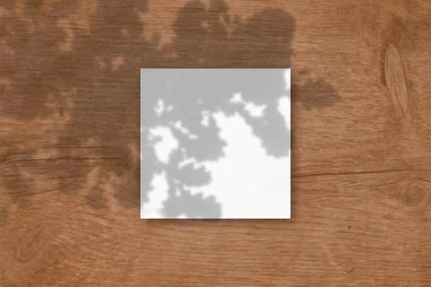 The square sheet of white textured paper on wooden table background. Mockup o Stock Illustration
