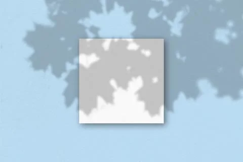 The square sheet of white textured paper on the blue wall background. Mockup  Stock Illustration