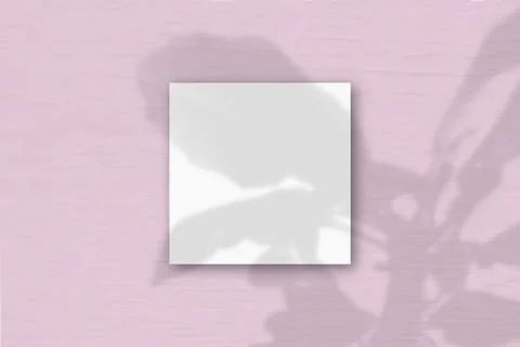 A square sheet of white textured paper on a pink wall background. Mockup over Stock Illustration